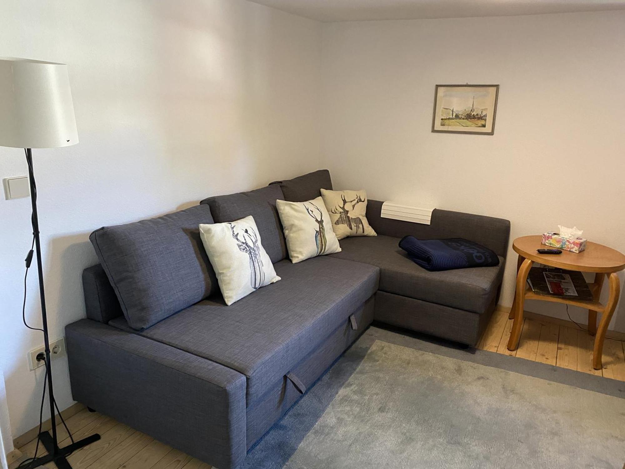 Ferienwohnung Sester Gengenbach Kültér fotó